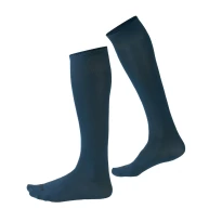 Winter Socken Siggi