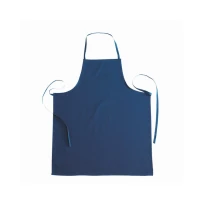 Arbeitsschutz-Schürze Rossini Massaua H213