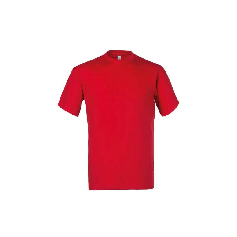 2 Stück - Arbeits-T-Shirt Rossini Kos HH114