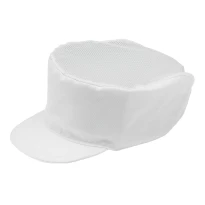 2 Stück - Arbeitsmütze 100% Polyester Giblor's 301