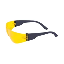 Zenon-Arbeitsschutzbrille ISSA LINE 250-02-5529