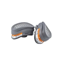 2 Stück - Paar Antigeruchs-Ersatzfilter SPR338/503/401 Logica SPR341