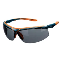 Sicherheitsbrille Portwest Mega PS13