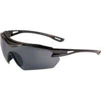 Arbeitsschutzbrille Cofra Gunner E019-B111