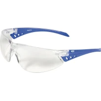 Arbeitsschutzbrille Cofra Handytip E024-B100