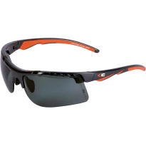 Arbeitsschutzbrille Cofra Lightning Polar E001-B111