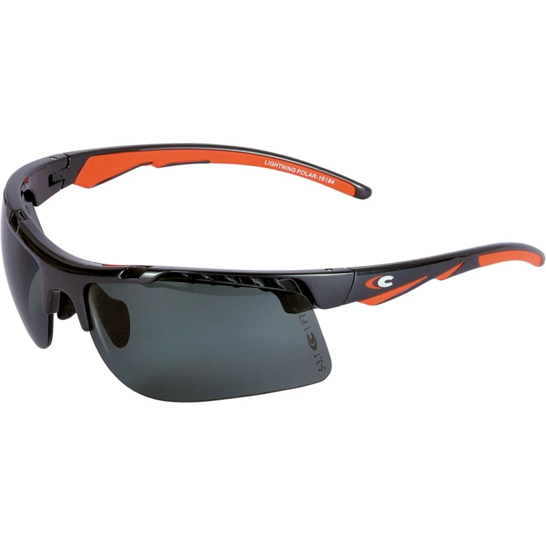 Arbeitsschutzbrille Cofra Lightning Polar E001-B111