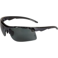 Arbeitsschutzbrille Cofra Lightning Polar E001-B112