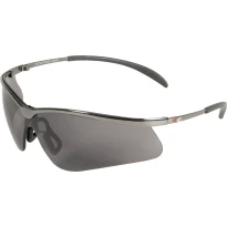 Arbeitsschutzbrille Cofra Metalforce E023-B110