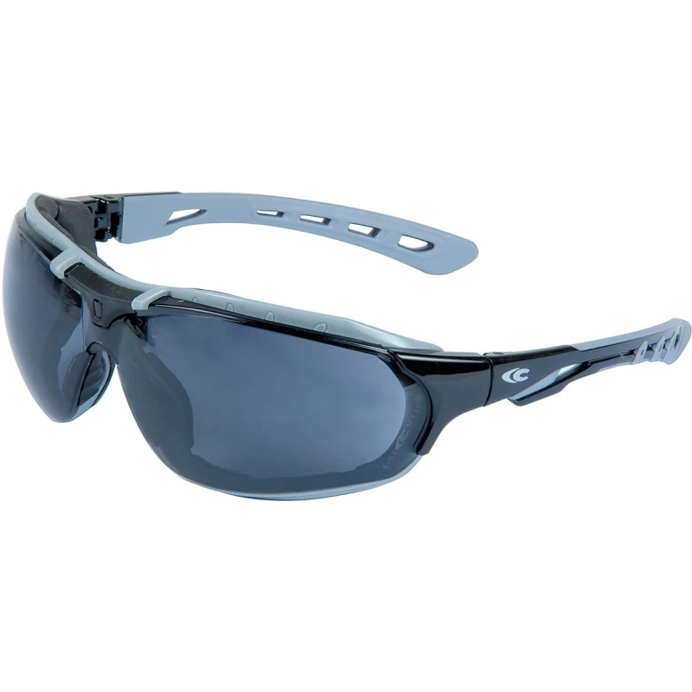 Arbeitsschutzbrille Cofra Modular Care E018-B110