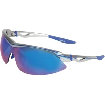 Arbeitsschutzbrille Cofra Revolux E026-B110
