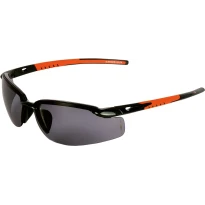 Arbeitsschutzbrille Cofra Slander E000-B110