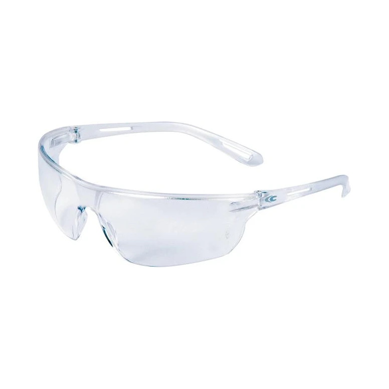 Arbeitsschutzbrille Cofra Slimshape E017-B110