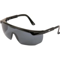Arbeitsschutzbrille Cofra Stelly E010-B110