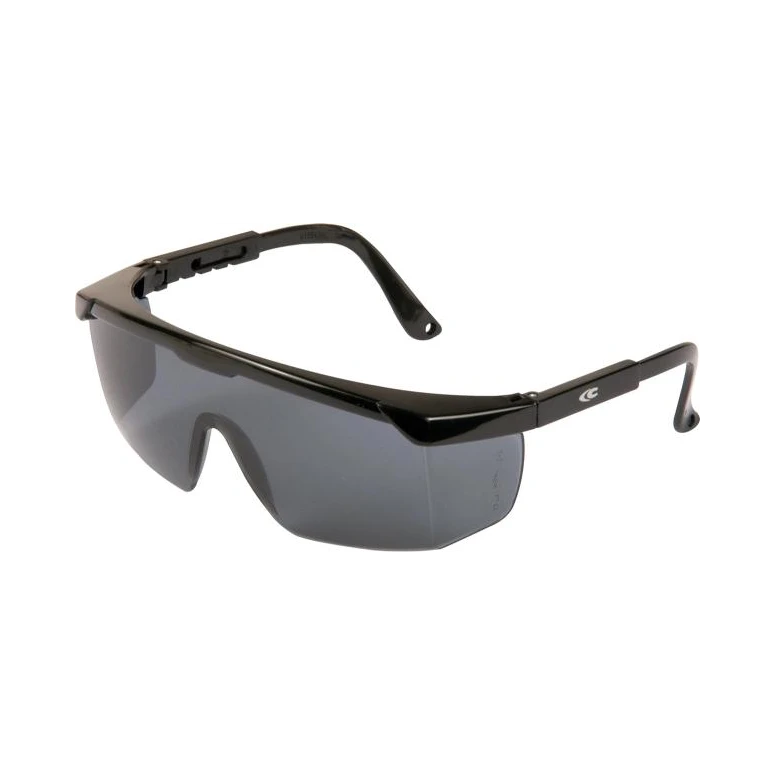 Arbeitsschutzbrille Cofra Stelly E010-B110