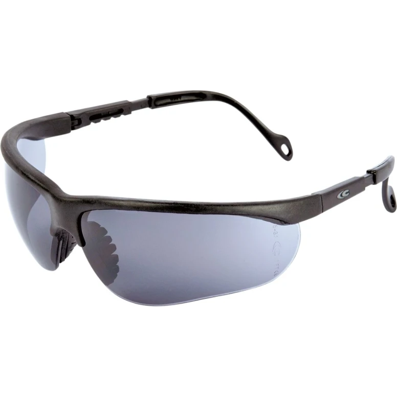 Arbeitsschutzbrille Cofra Wavy E008-B110