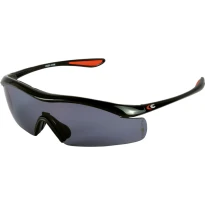 Arbeitsschutzbrille Cofra Widen E004-B110