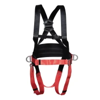 Auffanggurt mit 1 Punkt Cofra Bounsafe A004-1103
