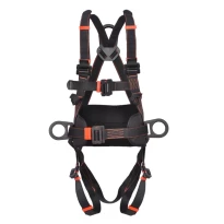 Coverguard Mintaka Auffanggurt mit 2 Punkten und Gurt 7MINT10