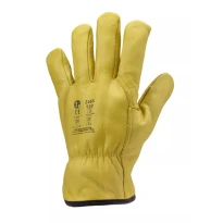 12 Paar - Coverguard Arbeitshandschuhe aus Leder Eurowinter MO2465 Kälteschutz