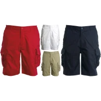 Mehrfachtaschen-Shorts 100% Baumwolle Twill Density - Payper AY 7329